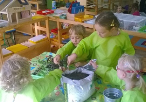 Zdjęcie przedstawia dzieci, które wsypiją do doniczek kramzyt.