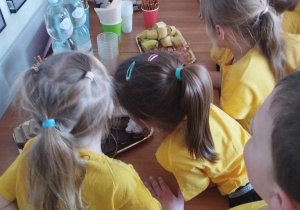 Na zdjęciu widzimy grupkę dzieci, które częstują się słodkościami.