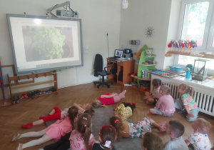 sprawdzanie za pomocą programu co wspólnego mają fraktale z kalafioremal