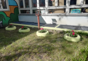 Zdjęcie przedstawia opony pomalowane na żółto z zasadzonymi czerwonymi kwiatami