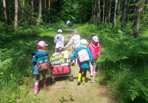 Zdjęcie przedstawia wyjście na zajęcia dzieci do lasu