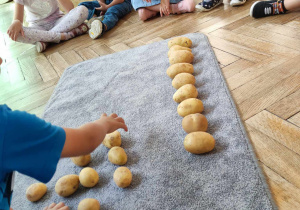 Dzieci segregują ziemniaki wg wielkości