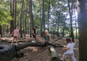 Zdjęcie przedstawia dzieci chodzące po konarach drzew leżących na ziemi w lesie.