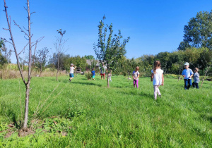 Zdjęcie przedstawia dzieci spacerujące po gospodarstwie.