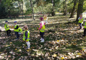 Na zdjęciu widzimy grupkę dzieci, które poszukują mokrych, żółtych liści.