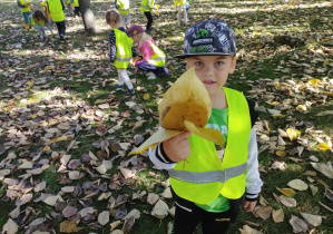 Na zdjęciu na pierwszym planie widzimy chłopca, który trzyma w ręku kilka żółtych liści. Na drugim planie widzimy grupkę dzieci, która zbiera liście.