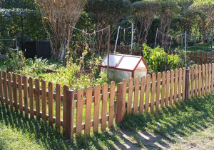 na zdjęciu widać ogrodzony niskim płotem ogródek warzywny
