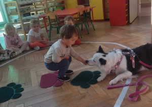 Dziecko podaje psu karmę z otwartej dłoni