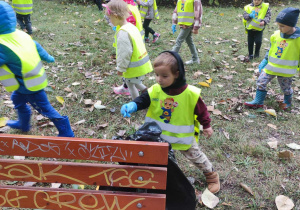 dzieci zbierają śmieci w parku