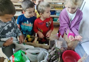 Dzieci oglądają dary jesieni przyniesione do przedszkola