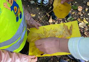 Zdjęcie przedstawia dzieci przyklejające liście na żółtą kartkę.