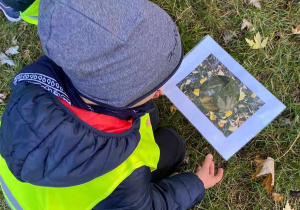 Zdjęcie przedstawia chłopca, który przykłada niekompletny obrazek do trawy na której leżą kolorowe liście. Czynności przyglądają się inne dzieci.