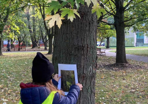 Zdjęcie przedstawia dziewczynkę przykładającą kartkę z niekompletnym obrazkiem do drzewa.