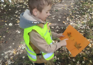 Zdjęcie przedstawia chłopca pokazującego kartkę z zebranymi liśćmi.