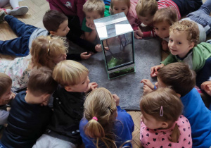 Dzieci obserwują patyczki - ich reakcje na nasze zachowanie