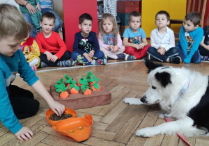 Dzieci szykują zadanie dla psa - zabawę węchową