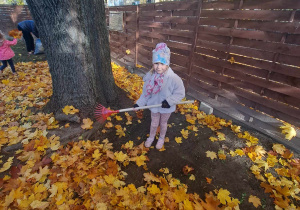 Na zdjęciu widać dziewczynkę, która grabi liście
