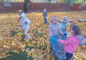 Zdjęcie przedstawia grupe dzieci, które zbierają liście w naszym ogrodzie