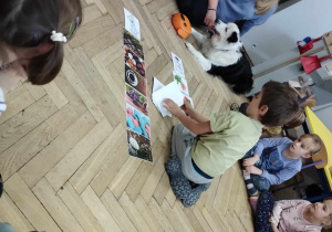 Na zdjęciu widzimy chłopca, który wybiera ilustrację, nazywa co jest na niej i segreguje pod względem możliwości zjedzenia przez psa lub nie.