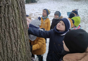 Zdjęcie przedstawia dzieci dotykające drzewa oraz przyglądające się mu.