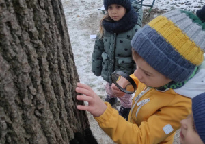 Zdjęcie przedstawia chłopca przyglądającego się korze drzew za pomocą lupy. Czynności przyglądają się inne dzieci.