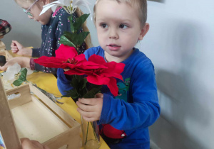 Dziecko pracuje z kwiatami - komponuje świąteczny bukiet