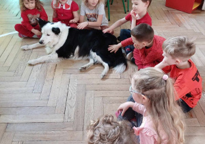 dzieci witają sie z psem chętnym na dotyk