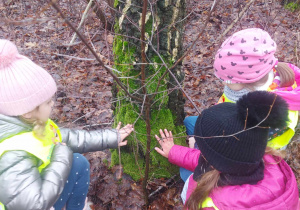 Dzieci obserwując po której stronie drzewa rośnie mech