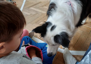 Dzieci częstują psa przysmakiem