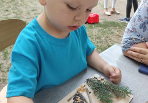 Zdjęcie przedstawia chłopca wykonującego kompozycję z materiału naturalnego.