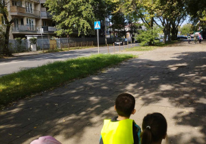 Na zdjęciu widzimy dzieci idące na skrzyżowanie. Na drugim planie znajduje się znak informujących nas o przejściu dla pieszych. Na drodze widzimy także namalowane pasy.