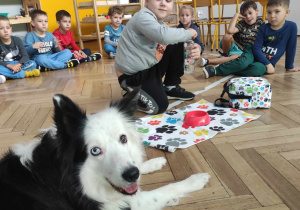 Dziecko szykuje dla psa wodę