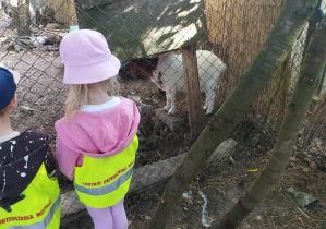 Na zdjęciu widzimy dziewczynkę i chłopca, którzy stoją koło zagrody z kozą Balbinką i innymi zwierzętami.