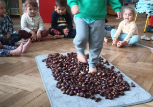 chłopiec przechodzi boso po kasztanach