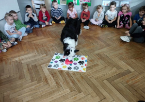 Na zdjęciu wdzimy psa, który pije wodę wcześniej nalaną przez dziewczynkę. Wszystkie dzieci obserwują co robi pies.