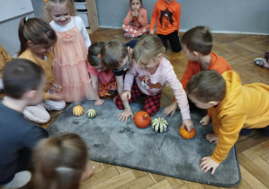 Na zdjęciu widzimy kilkoro dzieci, które układają dynie tak, jak były ustawione przed przemieszaniem przez dziewczynkę.