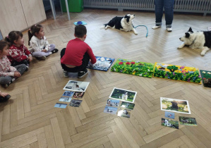 Na zdjęciu widzimy chłopca, który chowa smakoszka na macie węchowej.