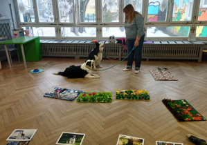 Na zdjęciu widzimy dwa psy, które żegnają się szczeknięciem.