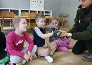 Zdjęcie 7 na 13