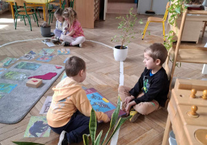 Zdjęcie 14 na 41