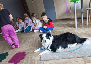 Dziecko karmi psa smaczkiem podając z miseczki
