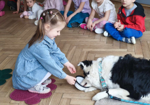 Dziecko karmi psa smaczkiem podając z miseczki