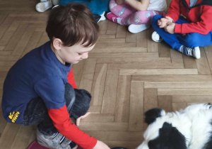 Dziecko karmi psa smaczkiem podając z miseczki