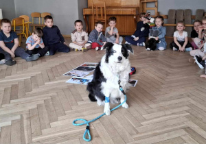 Zdjęcie grupowe z psem