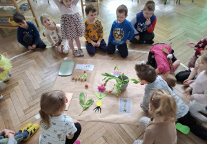 dzieci przyglądają się roślinom