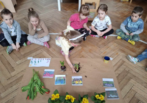 dziewczynka wskazuje roślinę cebulkową