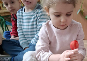 dziewczynka ogląda wkiat tulipana