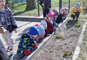 dzieci przyglądają się kwiatkom na rabacie