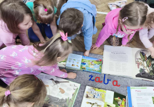 Dzieci oglądają książki o żabach