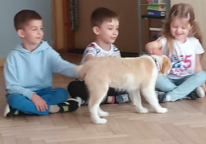 Pies podchodzi do dzieci